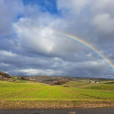 Endlich wieder einmal einen wunderschönen Regenbogen hat Ursula Bader aus Langenbruck auf der «Diegterhöchi» Richtung Tenniken fotografieren können