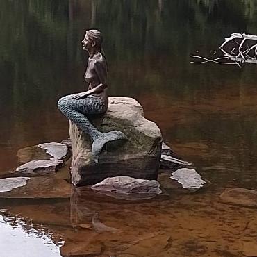 Bei einem Ausflug im Schwarzwald entdeckte Rosmarie Tschudin aus Liestal die Mummelsee-Nixe.