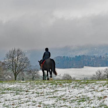 Mit den Zügeln in der Hand auf dem Weg ins Wunderland. Franz Schweizer hat dieses Bild bei Bretzwil aufgenommen.
