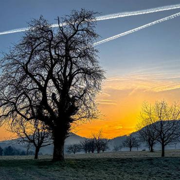 Res Thomet aus Diegten hat diesen alten Birnenbaum oberhalb von Diegten beim wunderschönen Sonnenaufgang fotografiert.