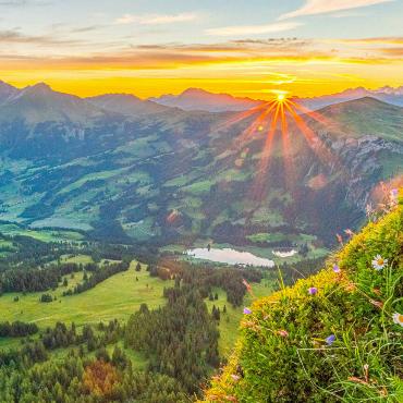 Wer solche Fotos machen will, muss gut zu Fuss und Frühaufsteher sein. Jan Furler aus Bubendorf brachte es aus dem Berner Oberland mit.