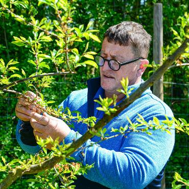 «Mich reizt alles, was Frucht ist»