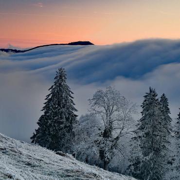 Der Nebel aus dem Mittelland schwappt bei Beinwil ins Lüsseltal hinüber. Die Szene hat Franz Schweizer aus Bretzwil gesehen. 