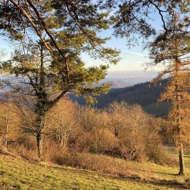 Diese schöne Abendstimmung mit Blick auf die Alpen hat Ivo Schädler aus Läufelfingen oberhalb von Ifenthal fotografiert. 