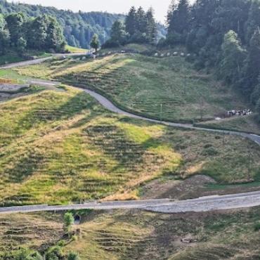 Marcel Gysin aus Zunzgen hat die Bölchenstrasse in Eptingen fotografiert – sie war zuvor über lange Zeit saniert worden.