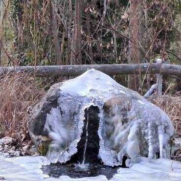 Bei Frost entstehen überall Eisgebilde – dieses im Grittpark in Niederdorf hat Fritz Häuselmann aus Gelterkinden fotografiert.