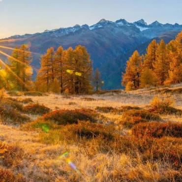 Jan Furler aus Bubendorf begleitete diesen goldenen Sonnenuntergang in den herbstlichen Walliser Bergen mit seiner Kamera.