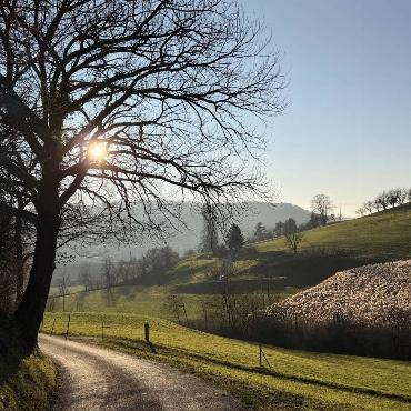 Die winterliche Sonne lockte Sandra-Marina Handschin aus Sissach zu einem Spaziergang in der Umgebung von Sissach.