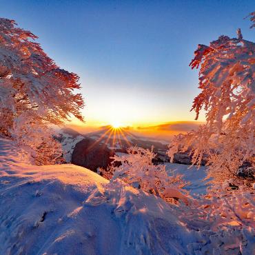 Franz Schweizer aus Bretzwil hat auf dem Passwang bei klirrender Kälte den Sonnenaufgang eingefangen.