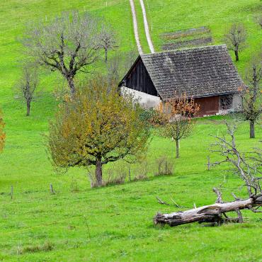 «Feldscheunen gehören zum Baselbiet wie die Kirschbäume», schreibt uns Franz Schweizer, der dieses Bild in Bretzwil aufgenommen hat.