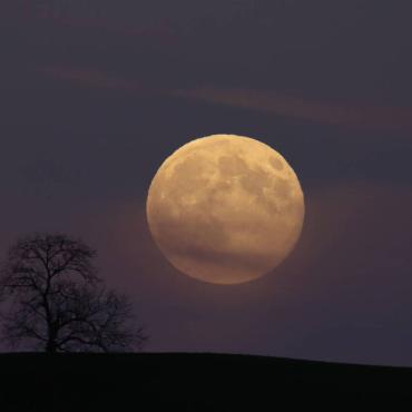 Daniela Nägelin aus Oberdorf hat den Supermond am 5. November mit ihrer Kamera eingefangen.