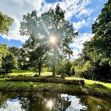 Eugen Schwarz aus Oberdorf schickt uns dieses Bild eines Weihers unter der strahlenden Sonne.