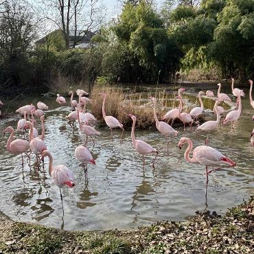 Leider hat uns die Fotografin oder der Fotograf dieser Aufnahme keine Angaben zum Ort gemacht - Marokko ist es aber sicher nicht. 