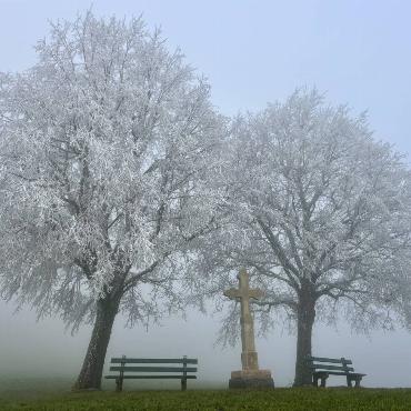 In Raureif und Nebel gehüllte Bäume hat Eugen Schwarz aus Oberdorf oberhalb von Langenbruck fotografiert.