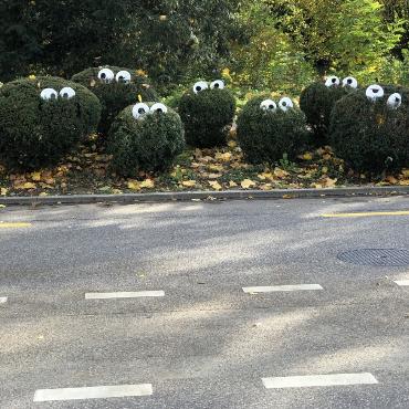 Hans Rebmann aus Gelterkinden wurde beim «Nachtigallenwäldeli» von diesen geheimnisvollen Wesen beobachtet.