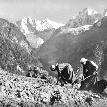 Kartoffelernte bei Solio, im Hintergrund die Scioragruppe 1950: Fundstück von Eugen Schwarz aus Oberdorf.