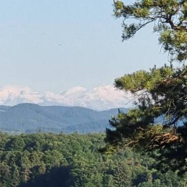 «An einem Föntag diesen Sommer waren die Alpen vom Restaurant Gempenturm aus gut zu sehen», schreibt Urs Hauser aus Pratteln zu seinem Bild.