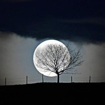 Der Vollmond ist die Krone des Nachthimmels, schreibt Franz Schweizer zu seinem Bild aus Bretzwil.