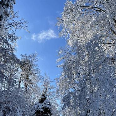 Auf seiner winterlichen Wanderung nach Wasserfallen hat Ivo Schädler aus Läufelfingen dieses Bild aufgenommen.