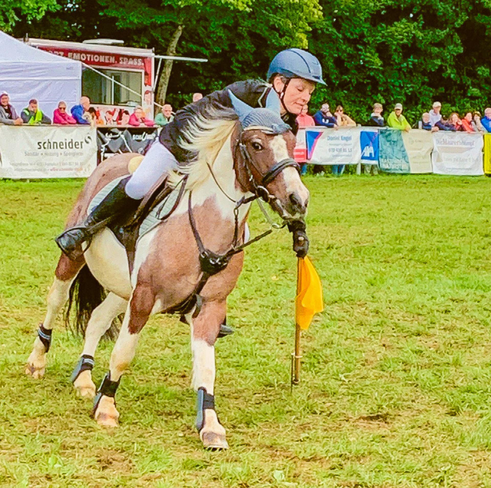 Packender Wettkampf - Das Bild wird blockiert. – Möglicherweise durch einen aktiven Adblocker.