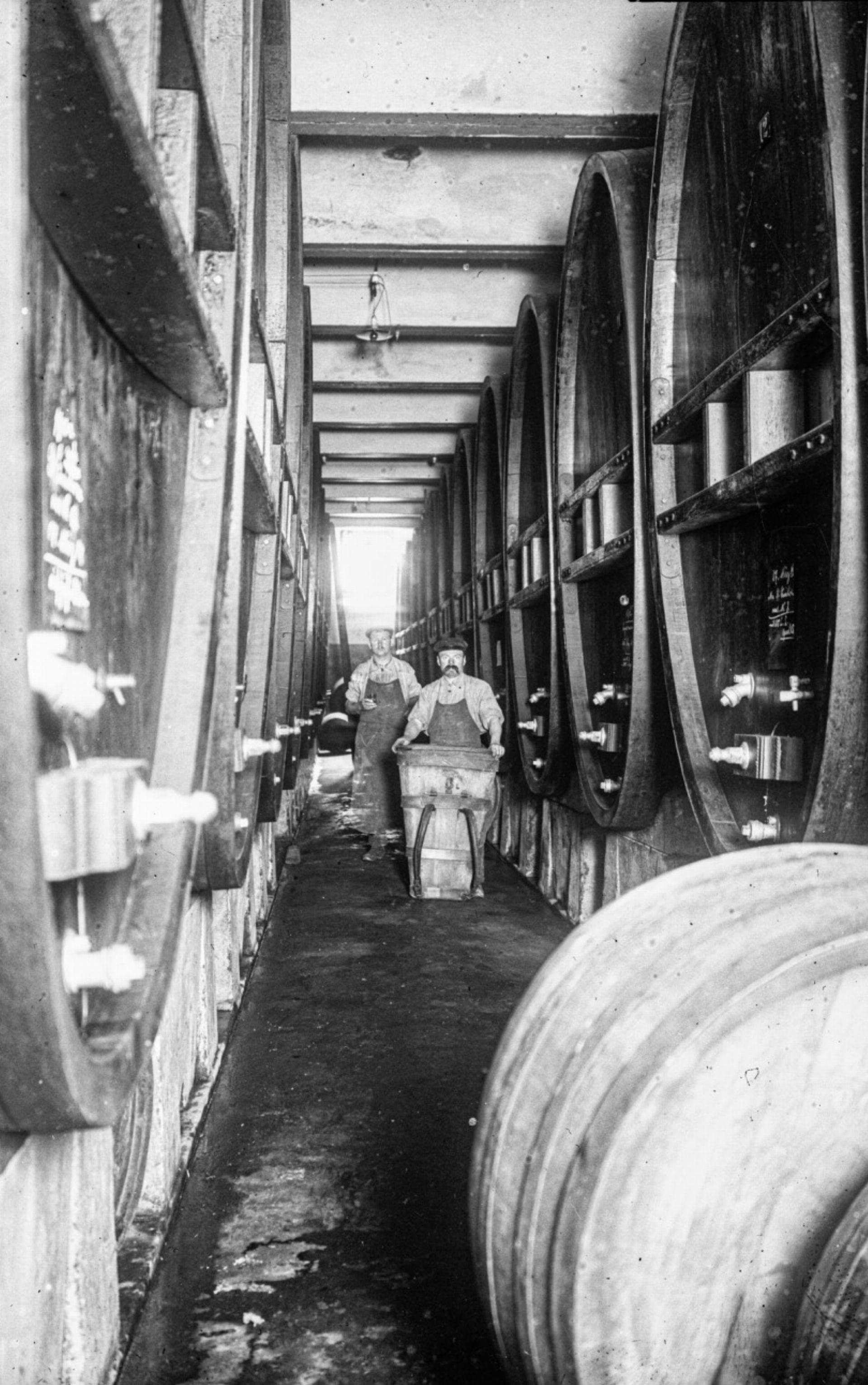 Im Weinkeller - Das Bild wird blockiert. – Möglicherweise durch einen aktiven Adblocker.