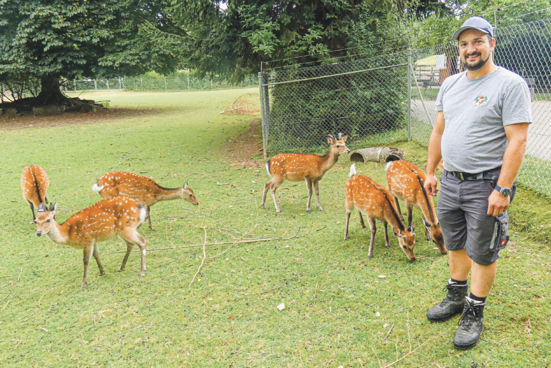 «Auch die Tiere passen sich der Hitze an»