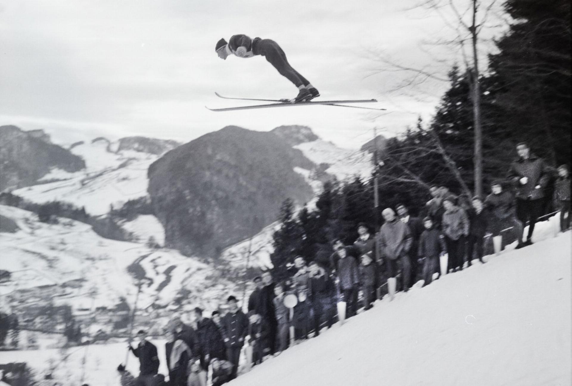 Nur noch eine Schneise im Wald - Das Bild wird blockiert. – Möglicherweise durch einen aktiven Adblocker.