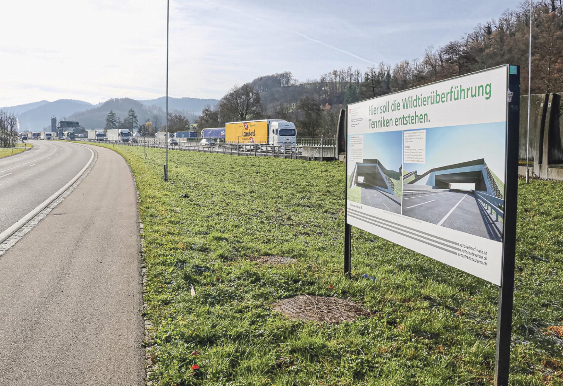 Ärger über Wildtierbrücke - Das Bild wird blockiert. – Möglicherweise durch einen aktiven Adblocker.