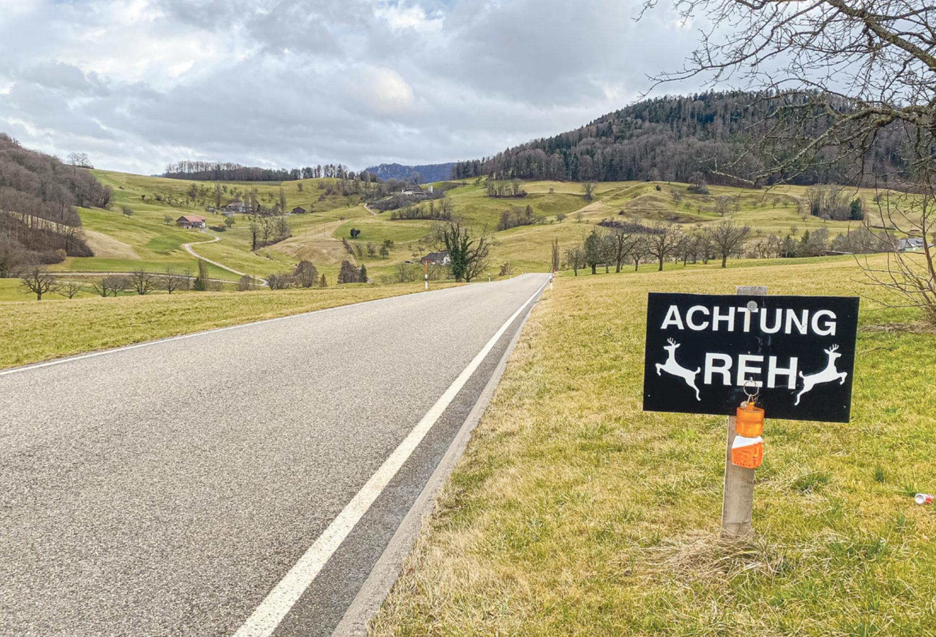 14 Wildunfälle auf wenigen Hundert Metern - Das Bild wird blockiert. – Möglicherweise durch einen aktiven Adblocker.