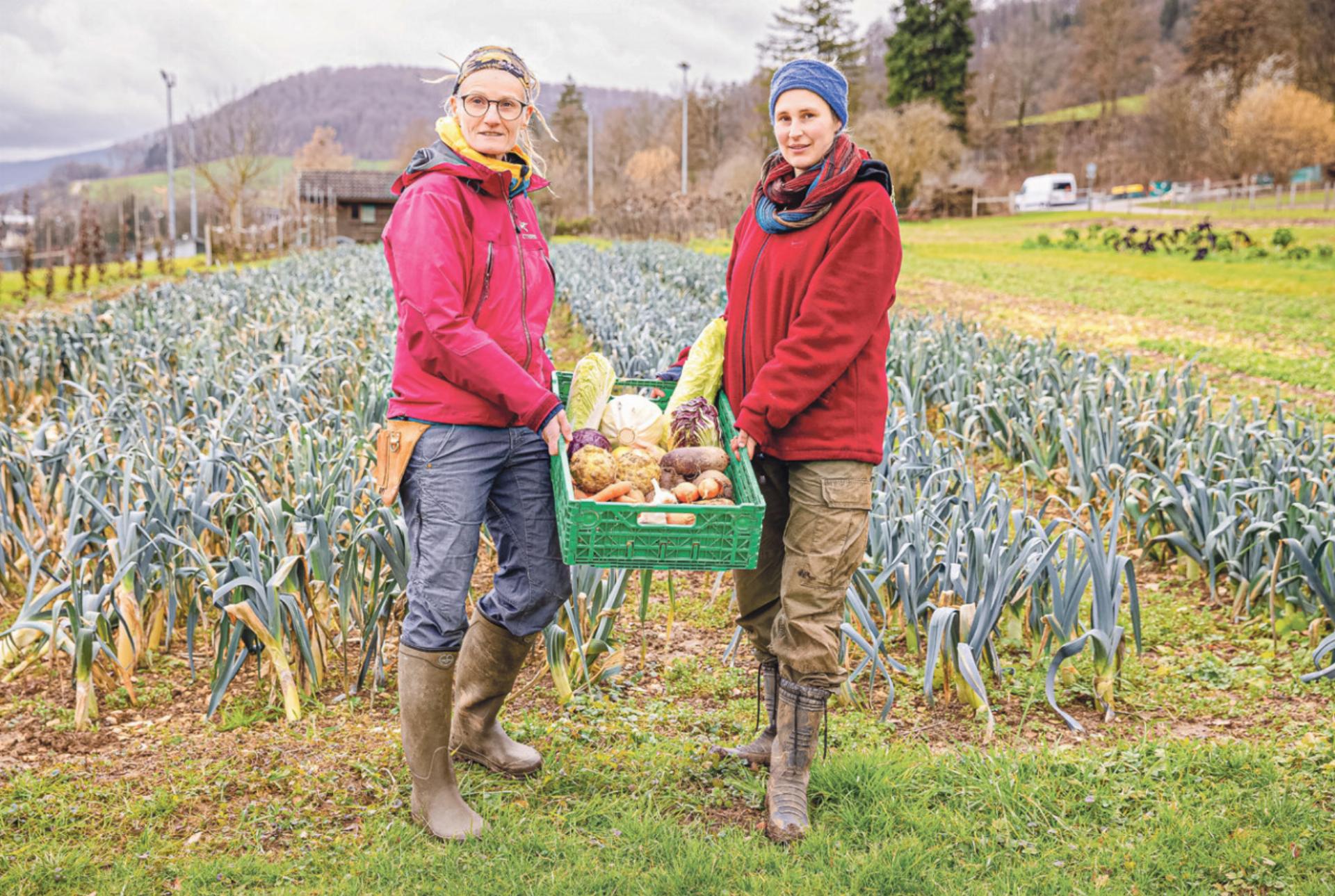 Die Gärtnerinnen Sabine Gysin (links) und Alice Müller produzieren zusammen mit dem Gartenteam und den Genossenschaftern der Gmüeserei Sissach Biogemüse für gut 100 Haushalte. Bild zvg