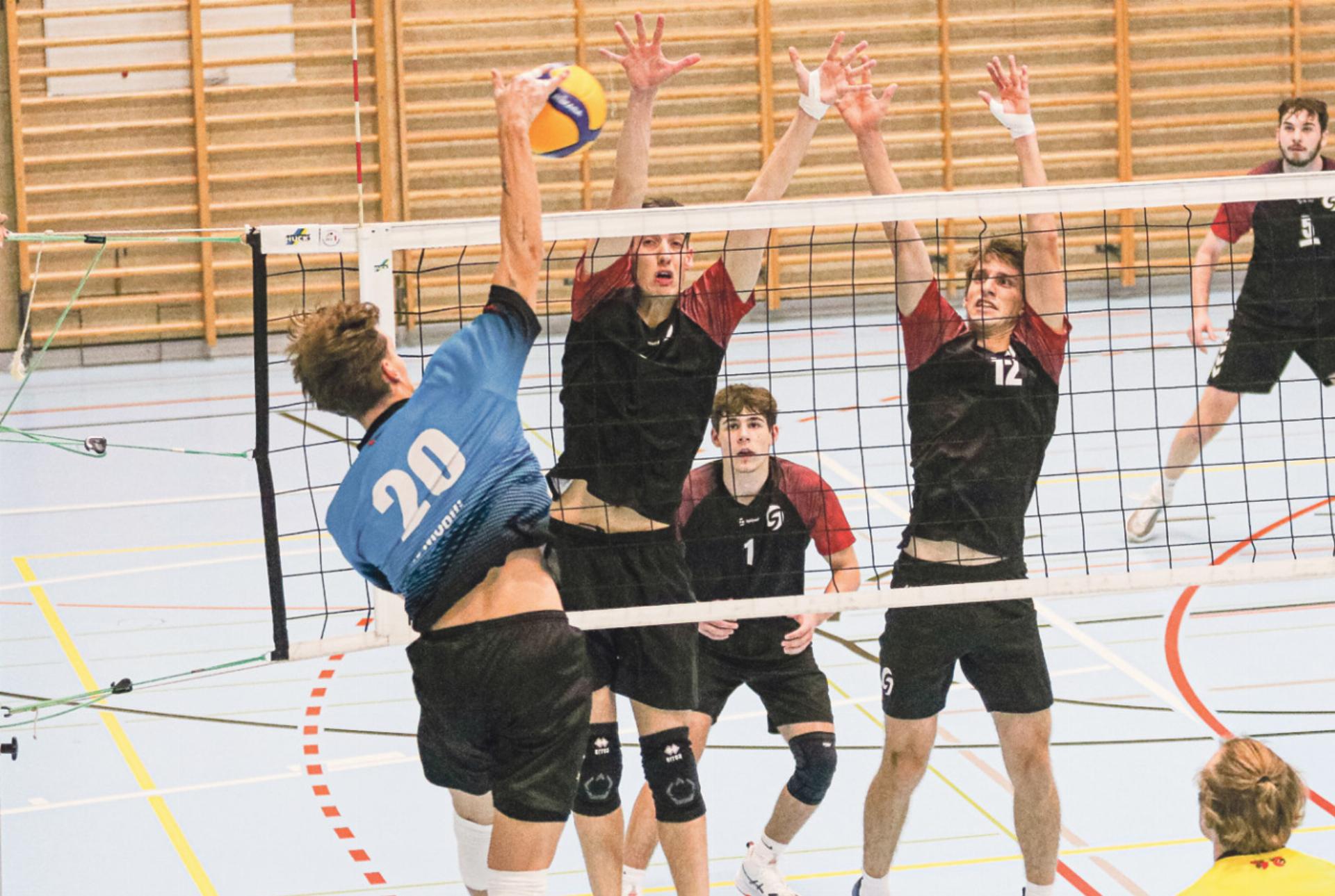 Knapp an der Überraschung vorbei - Das Bild wird blockiert. – Möglicherweise durch einen aktiven Adblocker.