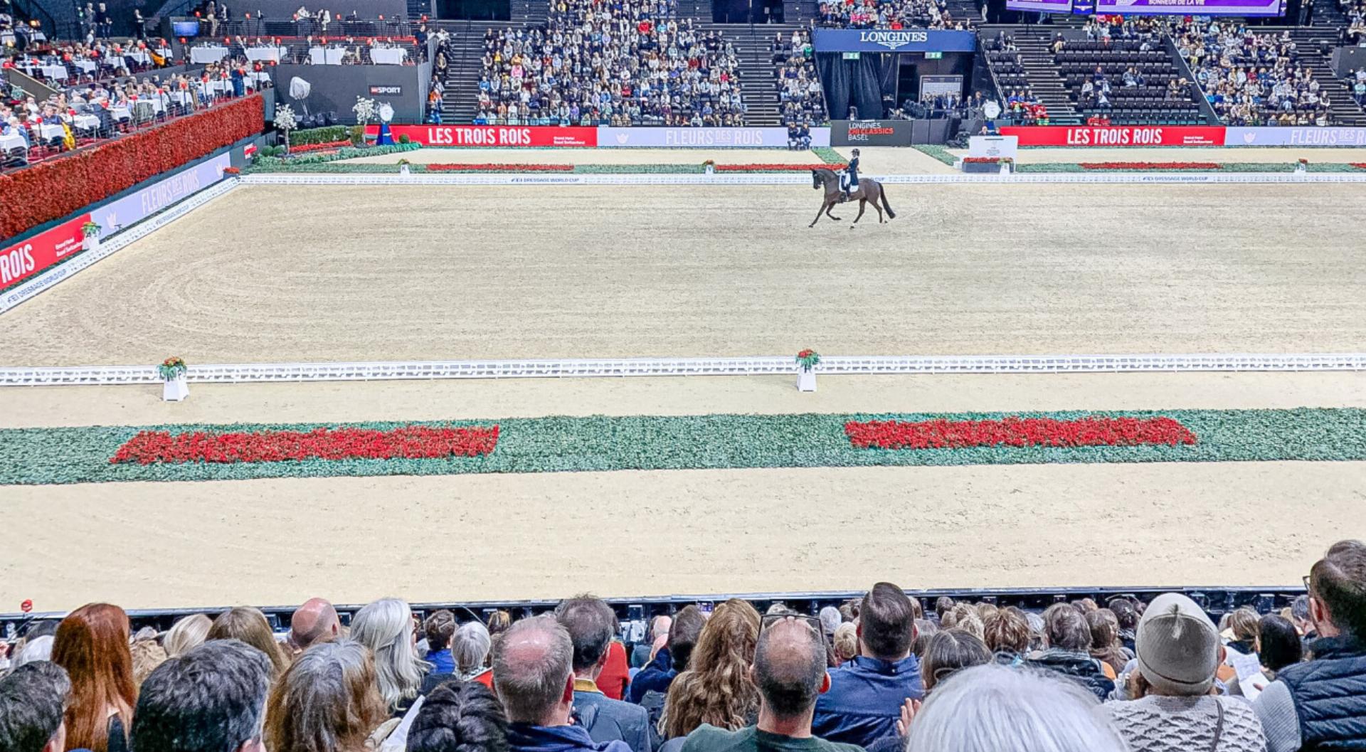 Beeindruckende Reitkunst - Das Bild wird blockiert. – Möglicherweise durch einen aktiven Adblocker.