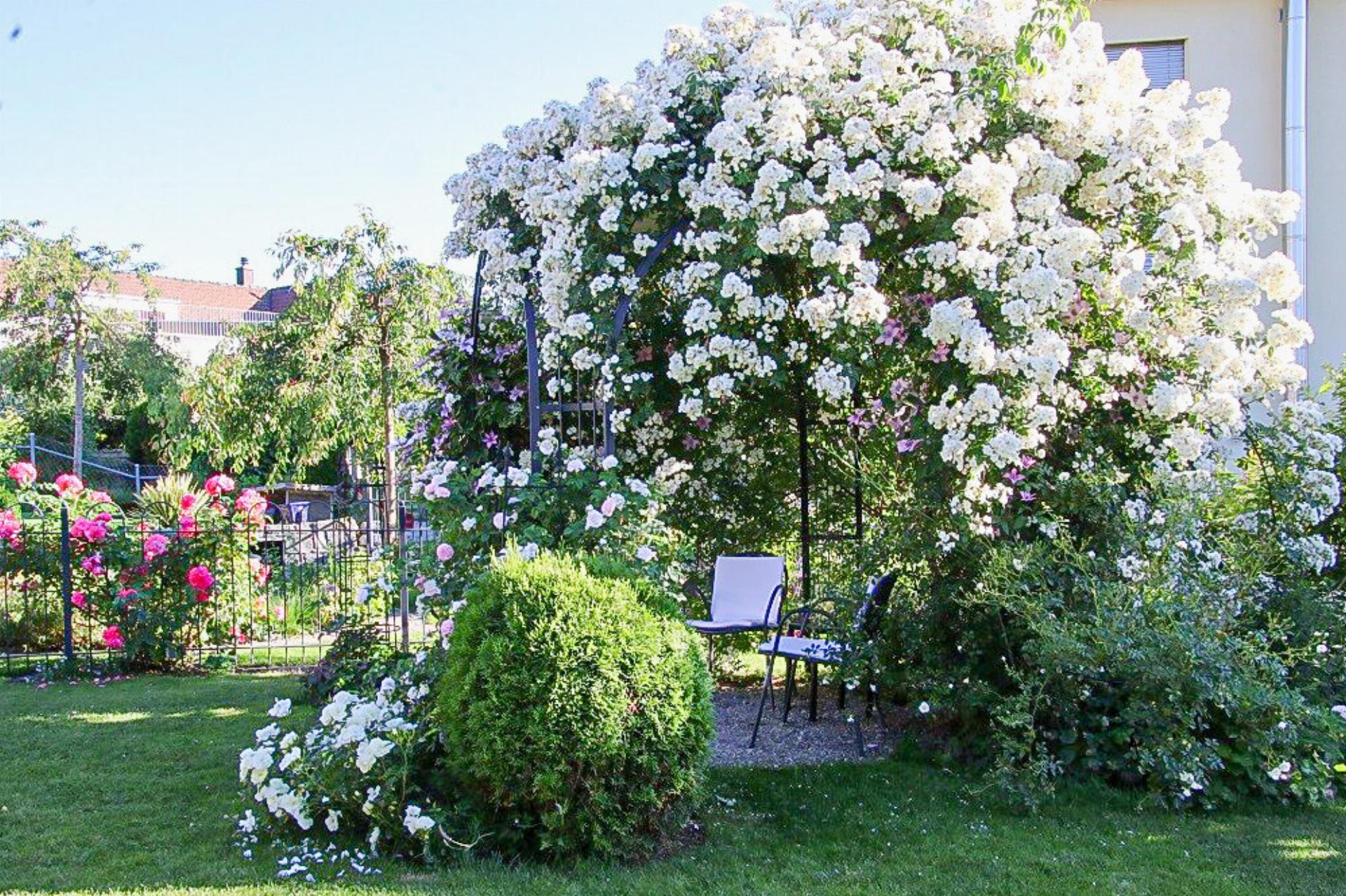 Gesund und fit in die Rosensaison - Das Bild wird blockiert. – Möglicherweise durch einen aktiven Adblocker.