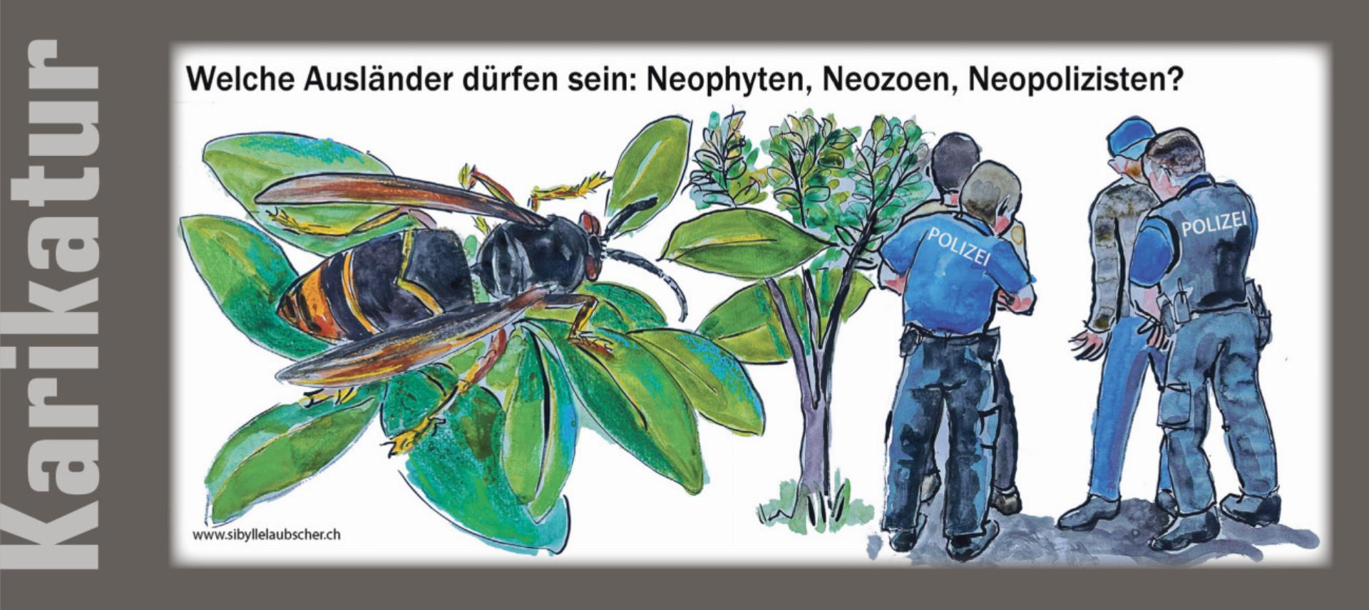 Karikatur - Das Bild wird blockiert. – Möglicherweise durch einen aktiven Adblocker.