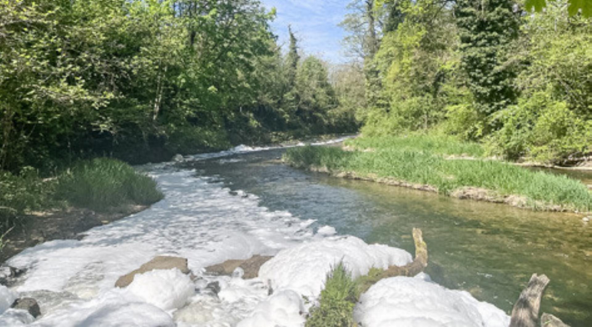 Schaum auf der Ergolz unterhalb der Kläranlage - Das Bild wird blockiert. – Möglicherweise durch einen aktiven Adblocker.