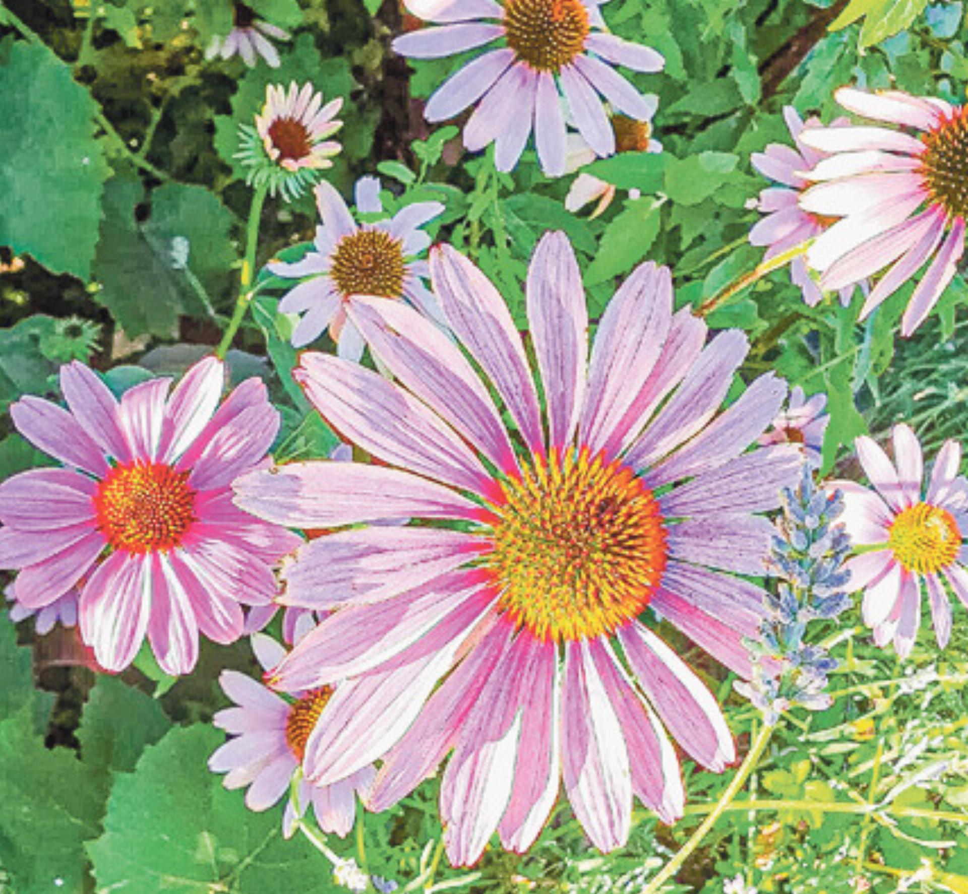 Die Kraft der Natur - Das Bild wird blockiert. – Möglicherweise durch einen aktiven Adblocker.