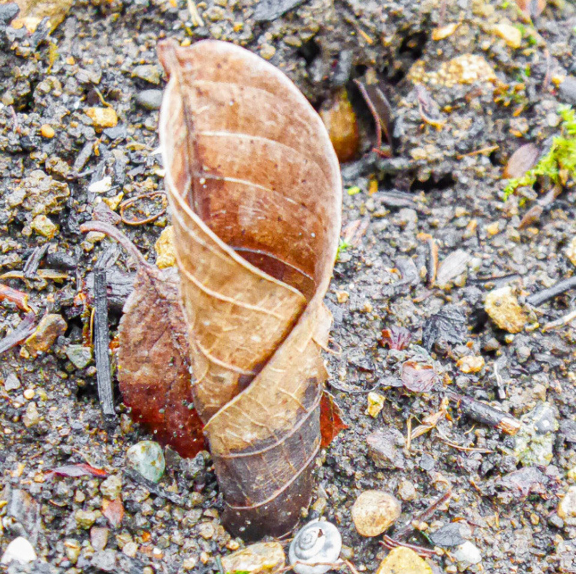 Nützlinge, Lästlinge und Schädlinge - Das Bild wird blockiert. – Möglicherweise durch einen aktiven Adblocker.