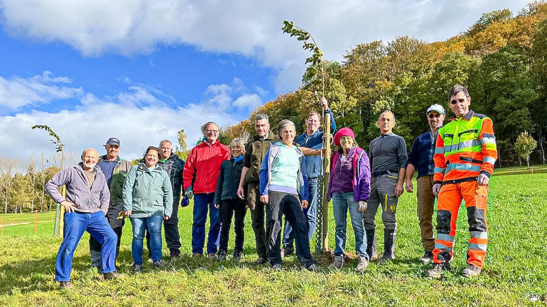 Gemeinsam wird südlich der Buuseregg eine der beiden neuen Feld baumalleen angepflanzt. Bild zvg