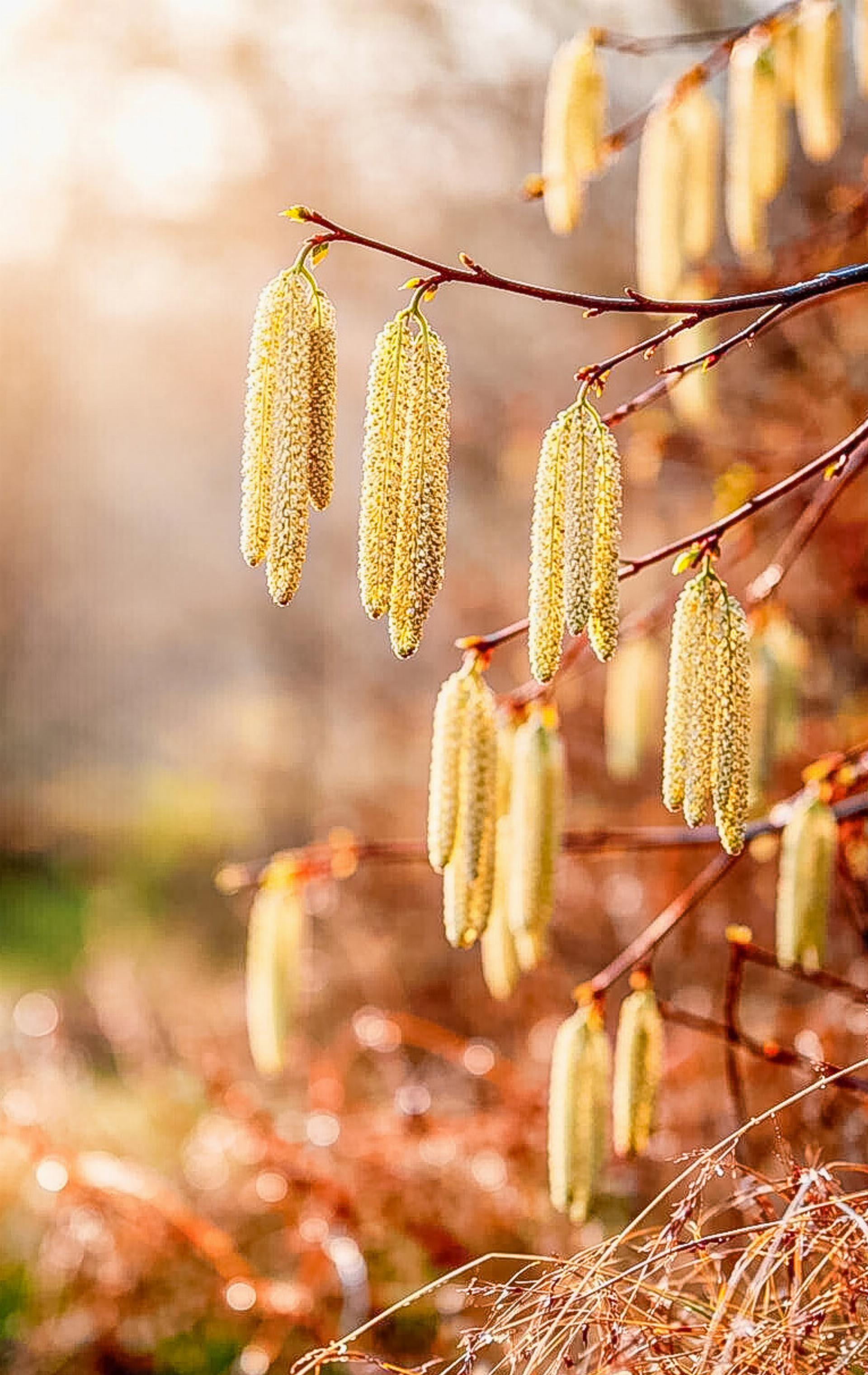 Der März – Tor zum Frühling - Das Bild wird blockiert. – Möglicherweise durch einen aktiven Adblocker.
