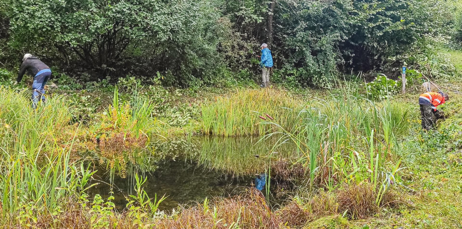 Weiher für den «Glögglifrosch» - Das Bild wird blockiert. – Möglicherweise durch einen aktiven Adblocker.