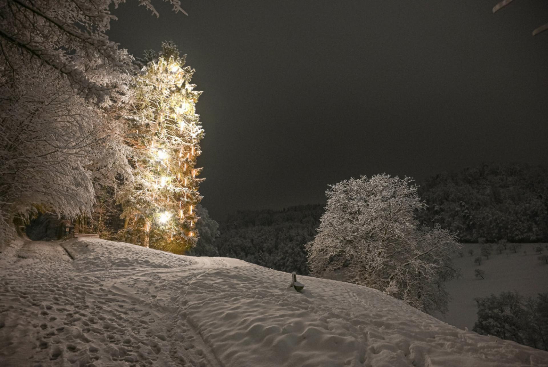 Das Geschenk des «Weihnachtsbaum-Tarzans»