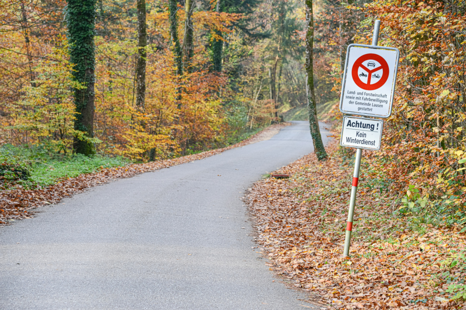 Schleichweg wird ganzjährig gesperrt - Das Bild wird blockiert. – Möglicherweise durch einen aktiven Adblocker.
