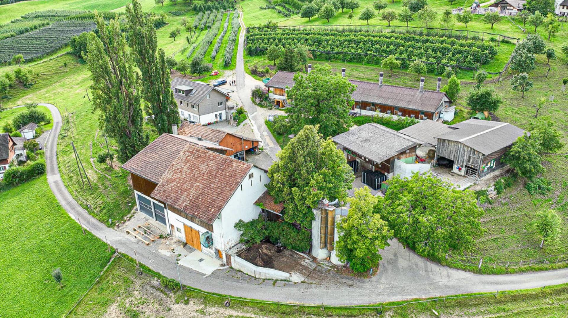 Das «Güggeliässe» ist zurück