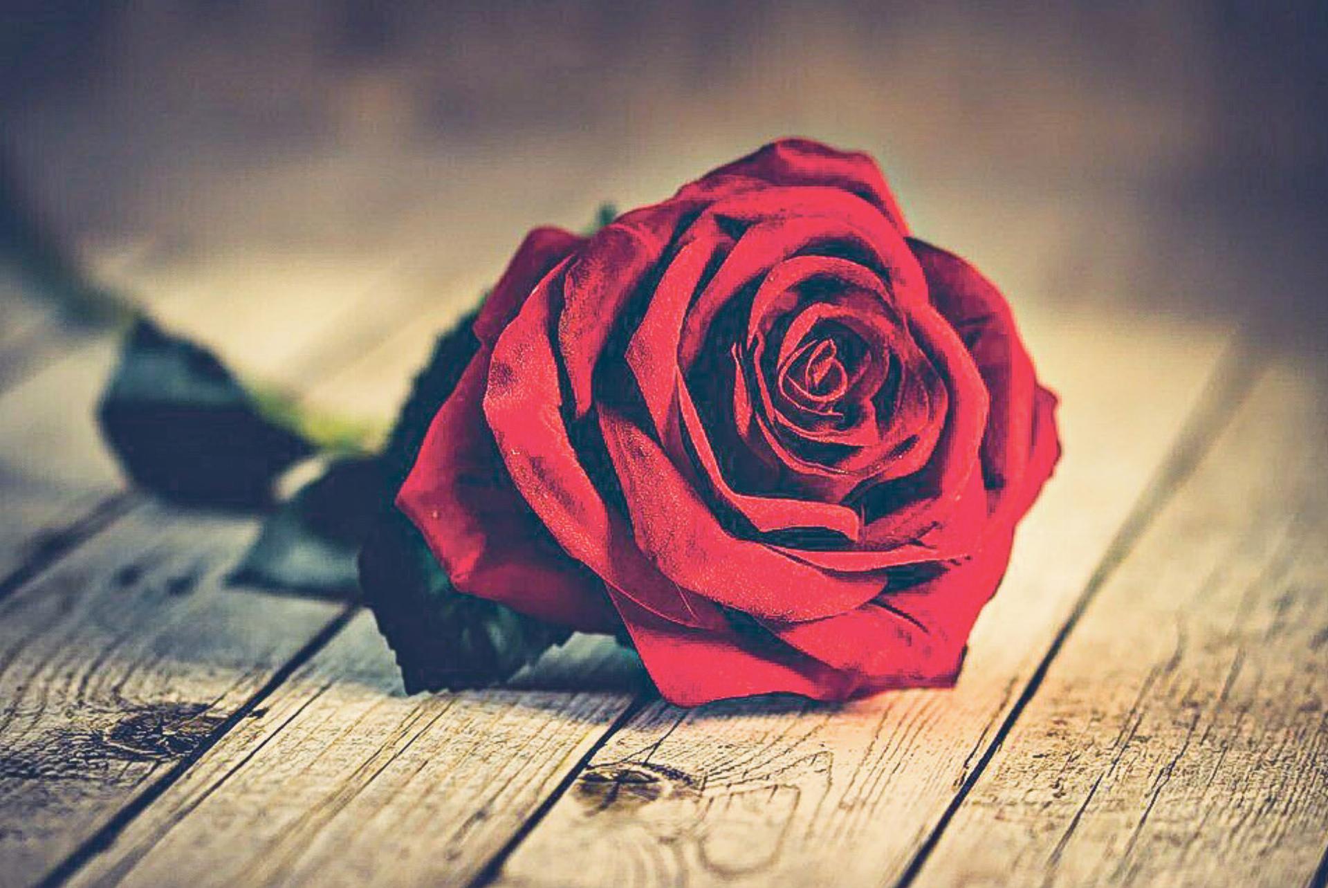 Valentinstag bedeutet nicht nur, seinen Liebsten rote Rosen zu schenken. Die Liebe spielt auch in der Kirche eine zentrale Rolle. Bild zvg