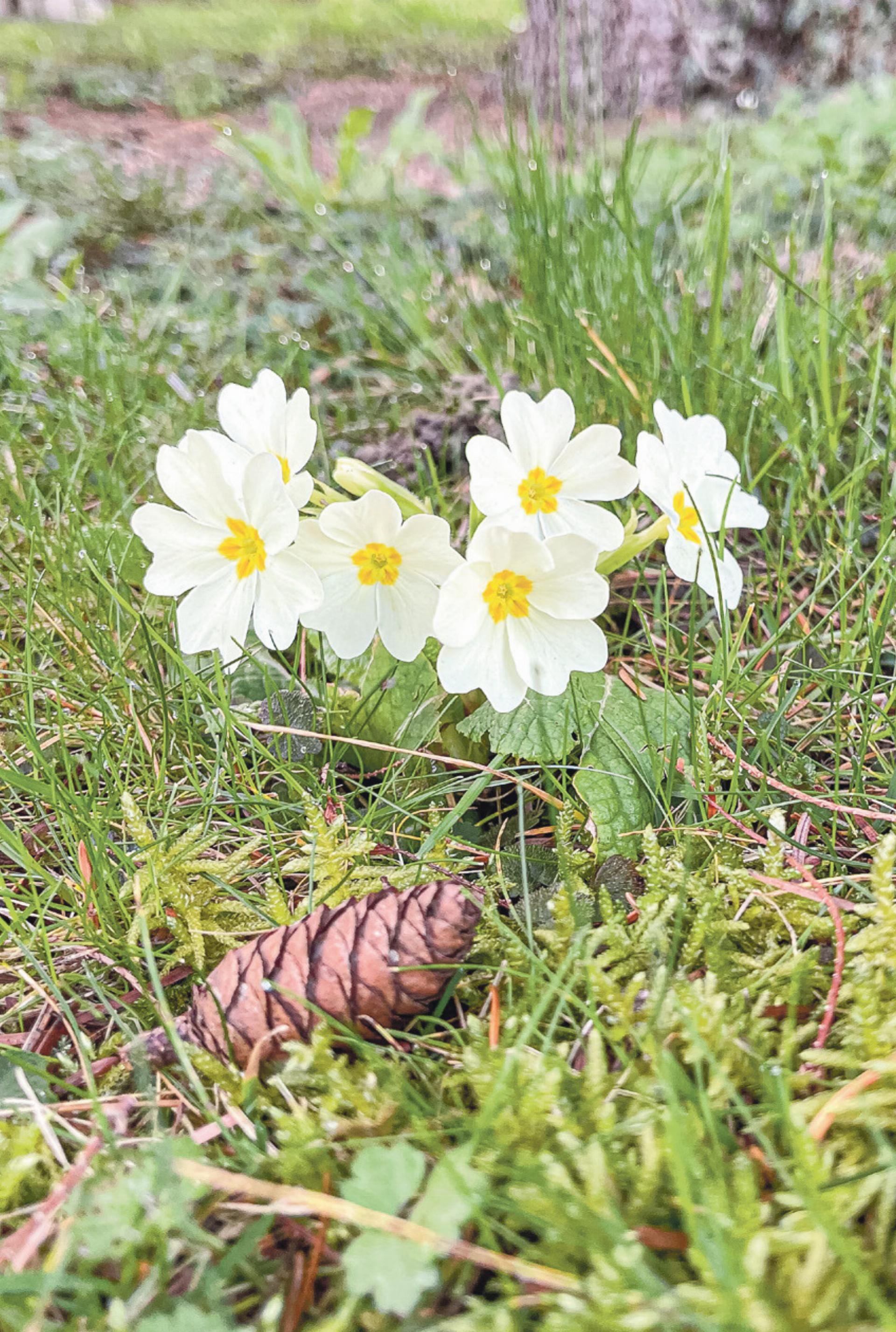 Fünftwärmster Februar seit Messbeginn - Das Bild wird blockiert. – Möglicherweise durch einen aktiven Adblocker.