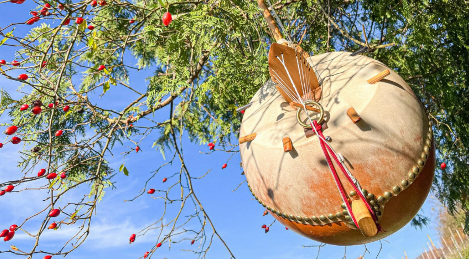 Ein Stück Herbst kann erlebt werden - Das Bild wird blockiert. – Möglicherweise durch einen aktiven Adblocker.