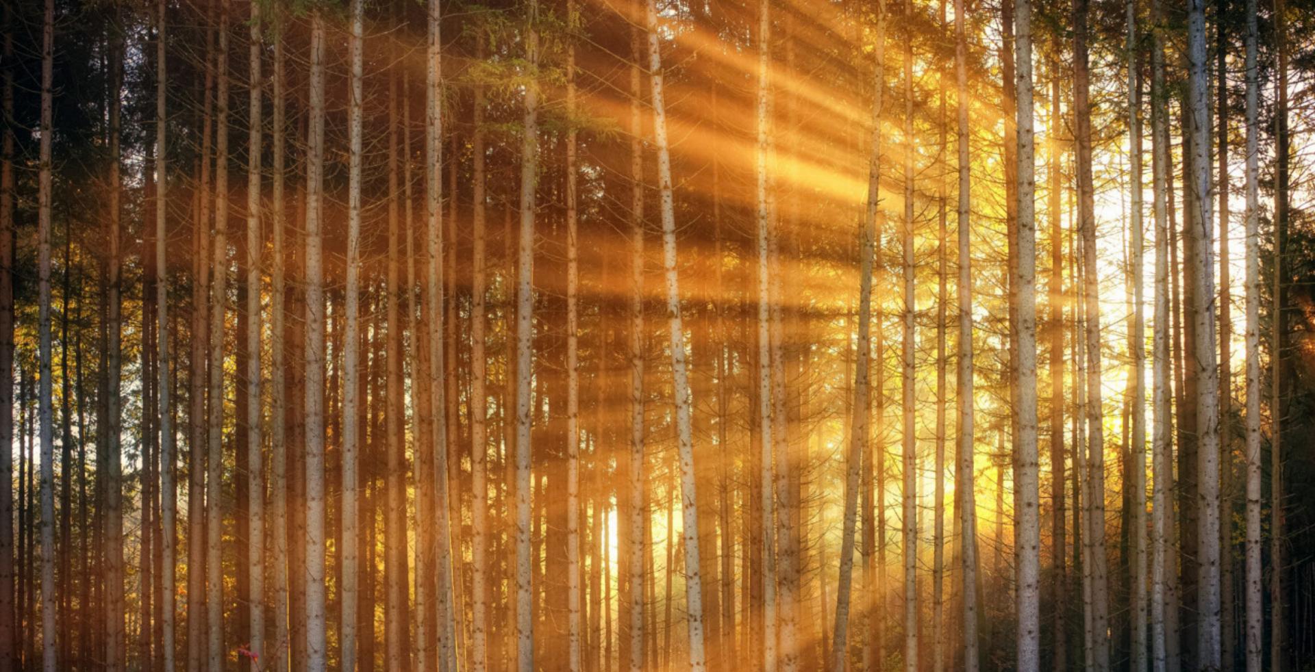 Unverschämt viel Hoffnung - Das Bild wird blockiert. – Möglicherweise durch einen aktiven Adblocker.