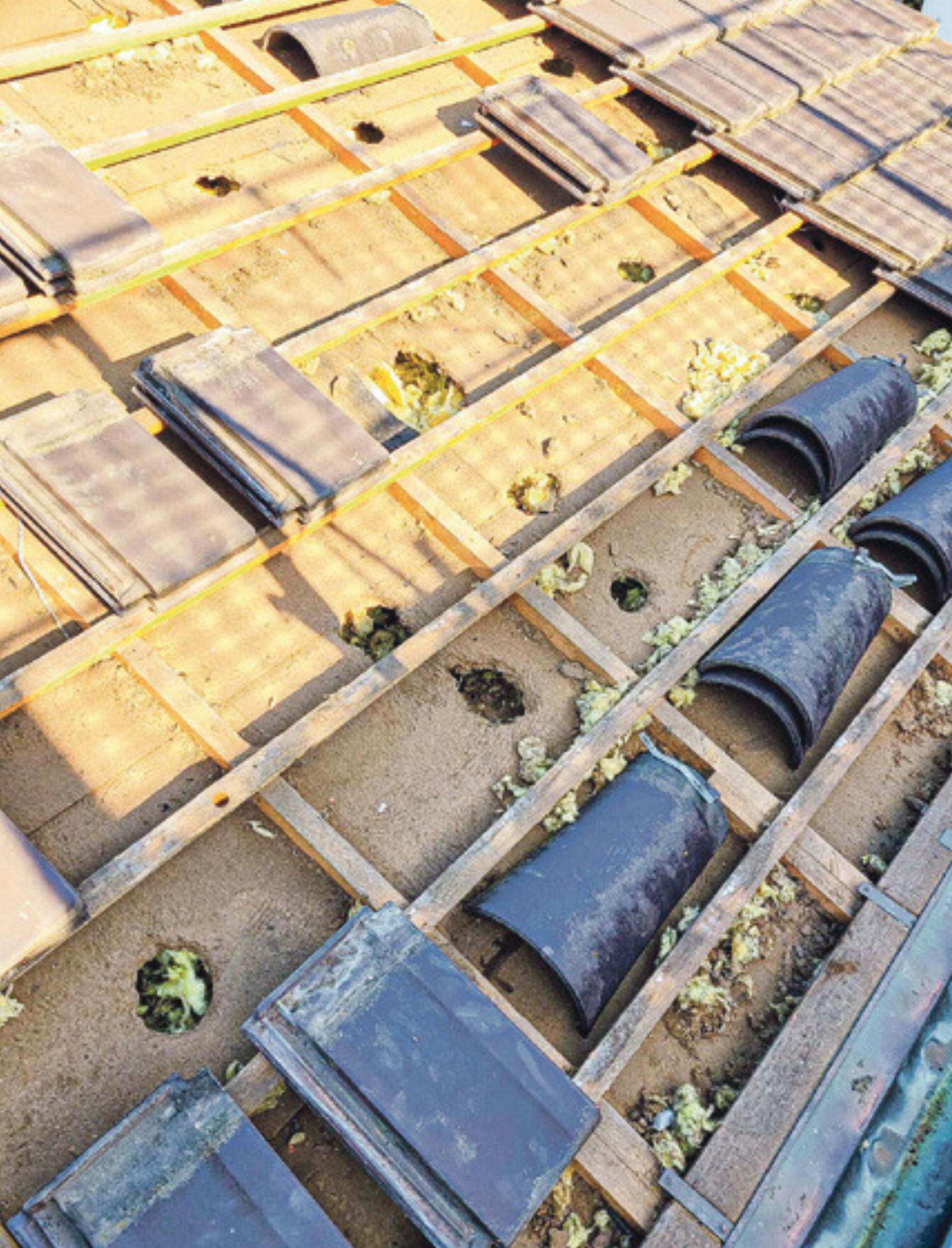 Effi zienter Marderschutz - Das Bild wird blockiert. – Möglicherweise durch einen aktiven Adblocker.