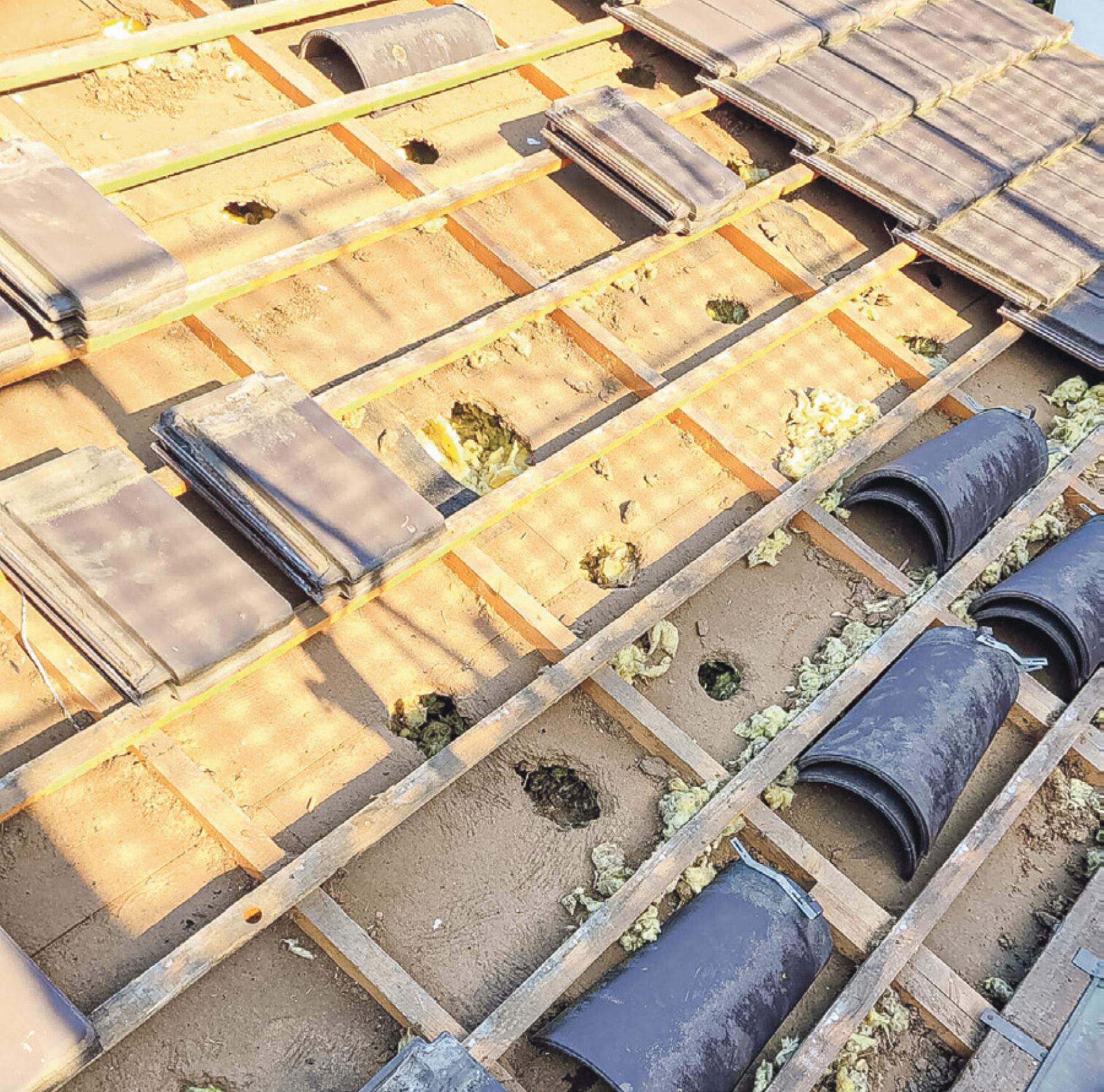 Effi zienter Marderschutz «made in Ormalingen» - Das Bild wird blockiert. – Möglicherweise durch einen aktiven Adblocker.