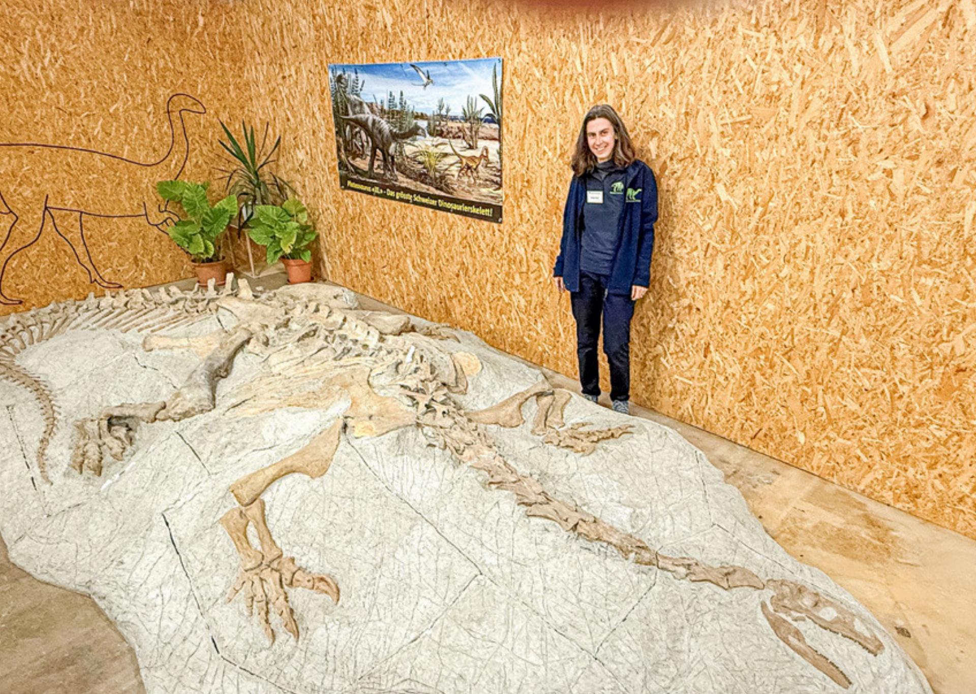 Neue Halle bewährt sich - Das Bild wird blockiert. – Möglicherweise durch einen aktiven Adblocker.